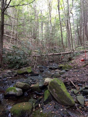 site 3 after - 2