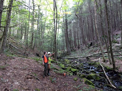 site 2 planning