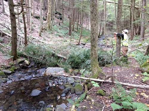 site 2 after from upstream