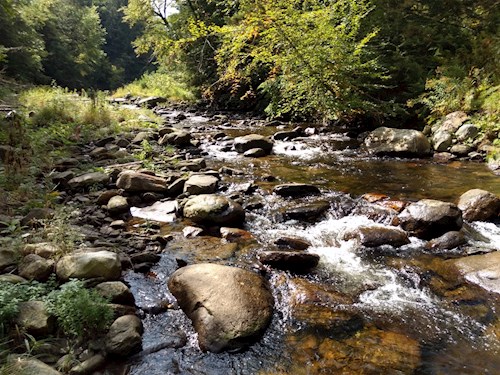 West Branch of North River